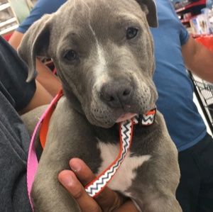 Meet your Posher, Karina